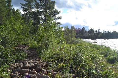 Riverside walk, Inari